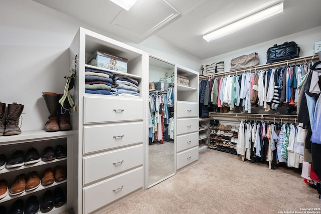 spacious closet featuring light carpet