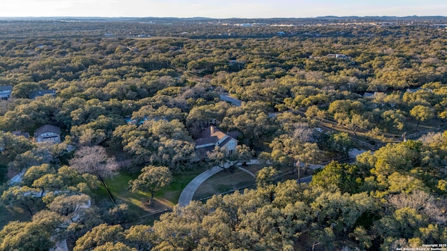 bird's eye view