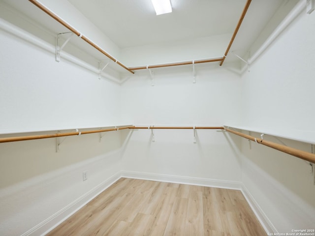 walk in closet with hardwood / wood-style flooring