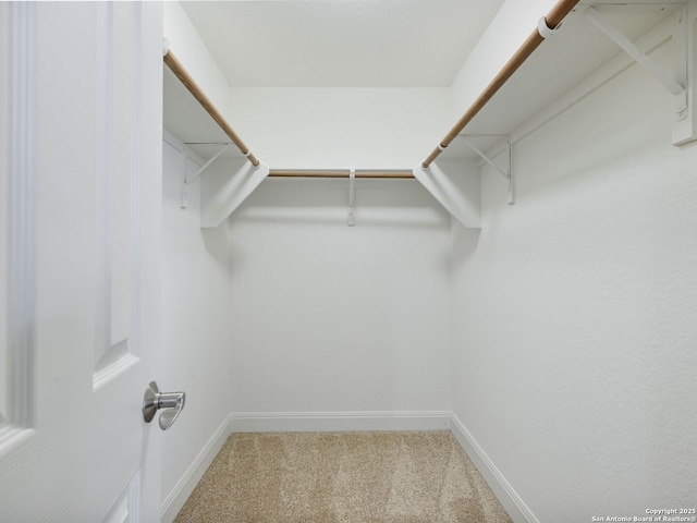 walk in closet with carpet