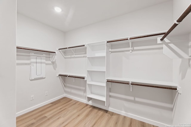 125 Connor Crk, San Antonio, TX 78253 - walk in closet featuring light wood-style flooring and electric panel