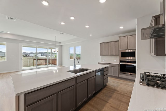 125 Connor Crk, San Antonio, TX 78253 - kitchen with stainless steel appliances, a sink, light wood-style floors, plenty of natural light, and recessed lighting