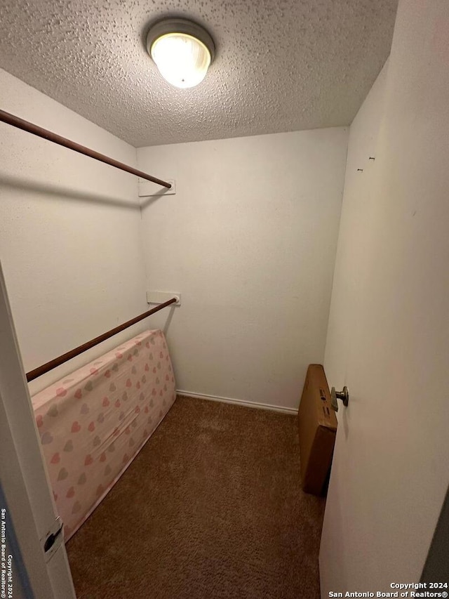 spacious closet with dark colored carpet