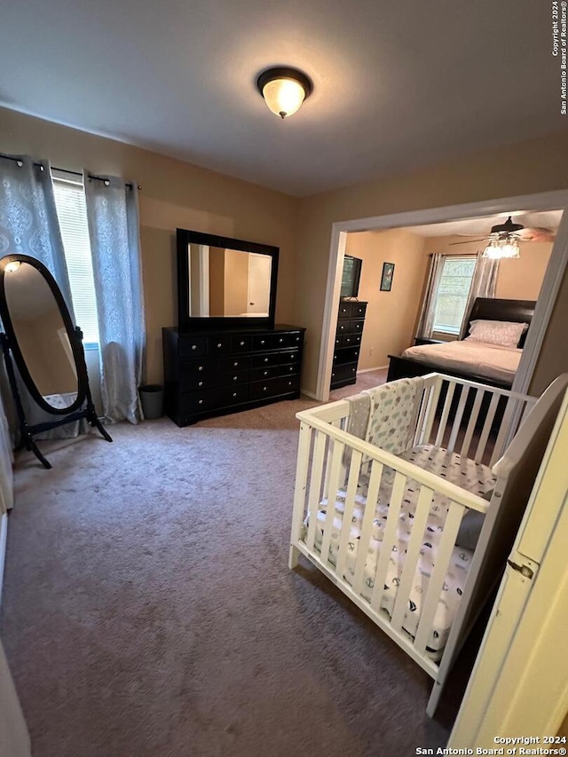 bedroom with carpet floors