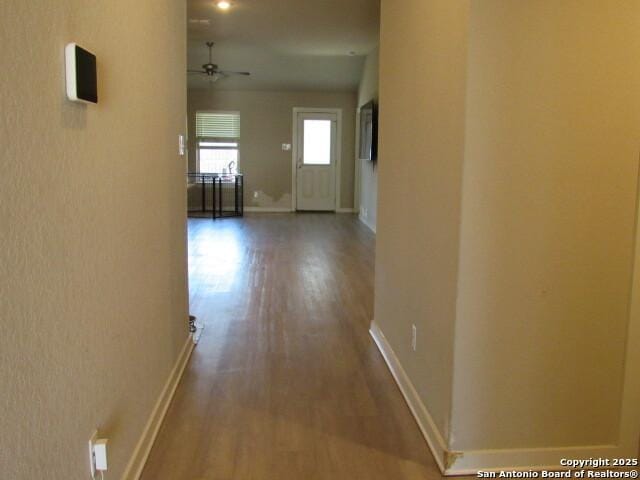 hallway with hardwood / wood-style floors