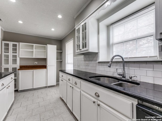 kitchen with white cabinetry, sink, backsplash, and ornamental molding