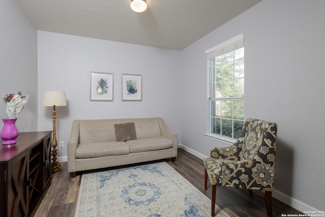 living room with a textured ceiling and dark hardwood / wood-style flooring