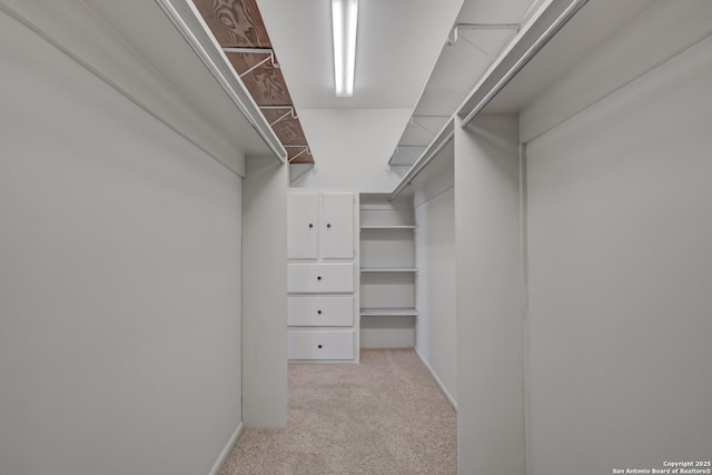 spacious closet with light colored carpet