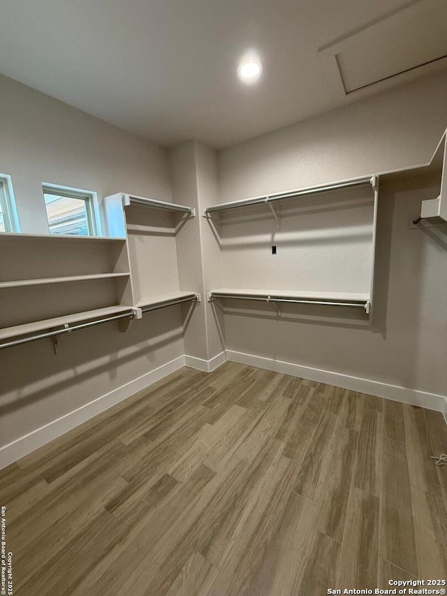 spacious closet featuring hardwood / wood-style flooring