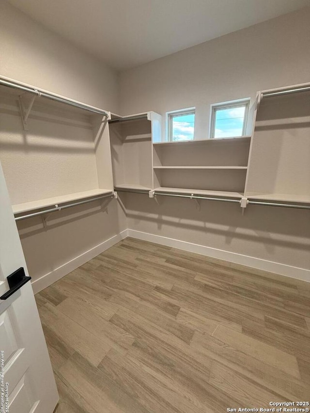 walk in closet featuring wood-type flooring