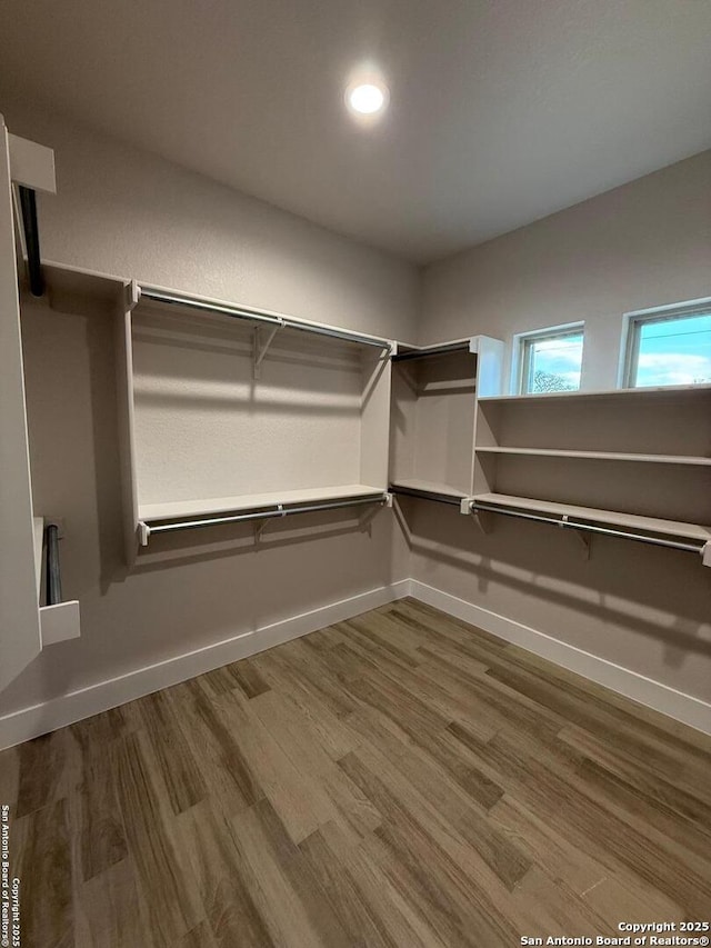 walk in closet featuring hardwood / wood-style flooring