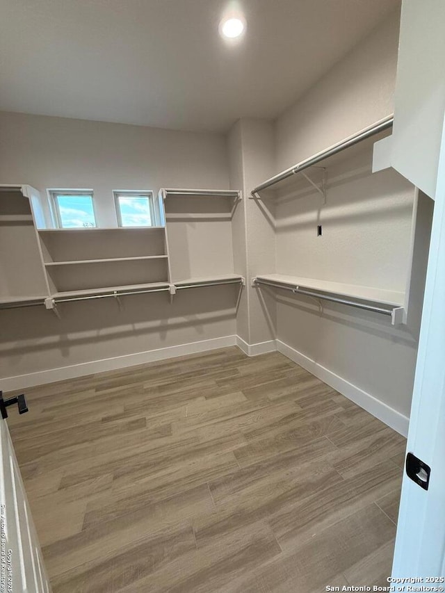 walk in closet with wood-type flooring