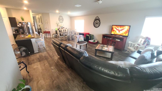 living room featuring sink and dark wood-type flooring