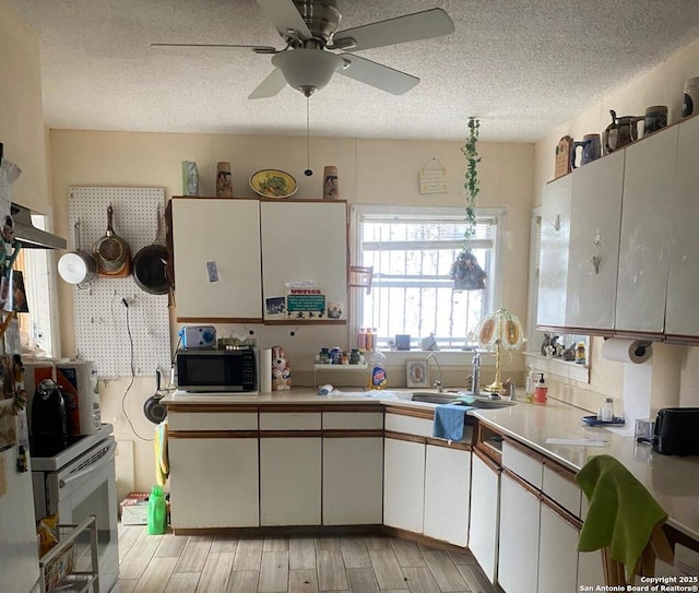 kitchen with light hardwood / wood-style flooring, sink, white cabinetry, a textured ceiling, and ceiling fan