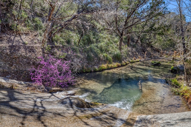 view of water feature