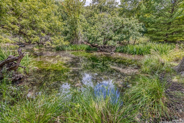 view of nature featuring a water view and a view of trees