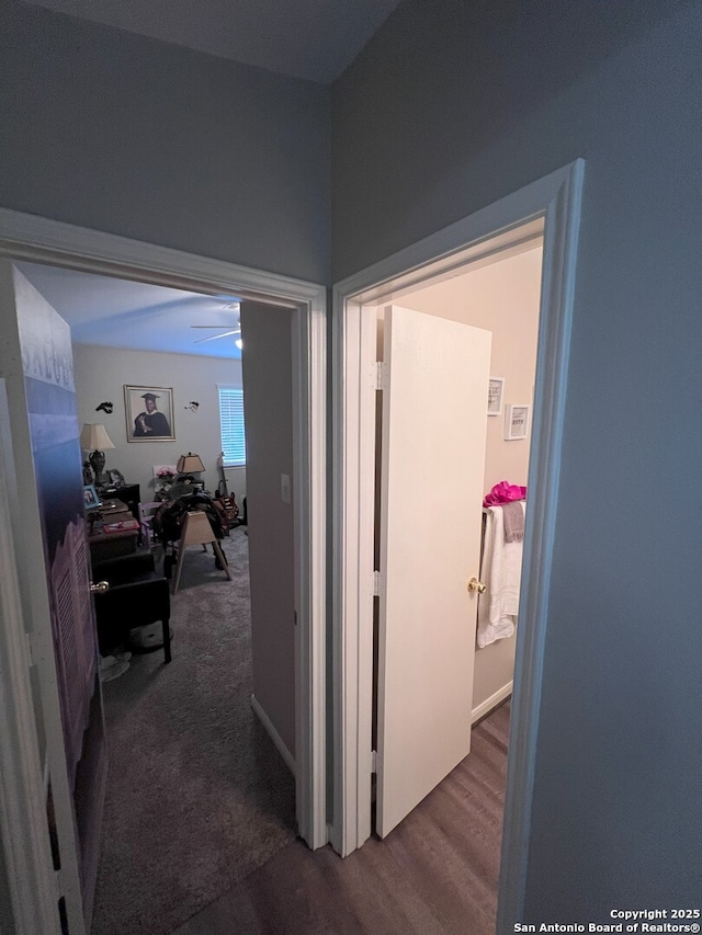 hallway with carpet flooring