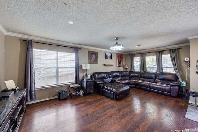 living room featuring dark hardwood / wood-style flooring, crown molding, and a textured ceiling