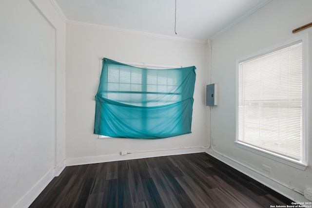 spare room featuring ornamental molding, electric panel, and dark hardwood / wood-style flooring