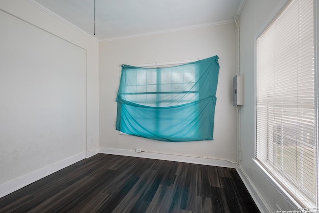 empty room featuring dark hardwood / wood-style floors and ornamental molding