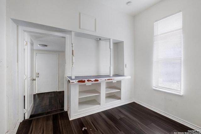 mudroom with dark wood-type flooring