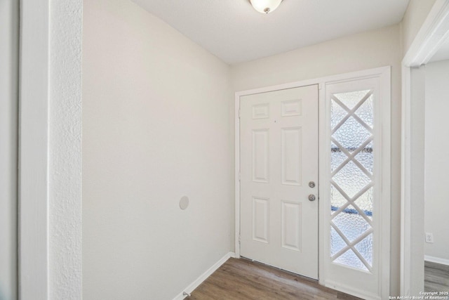 foyer entrance featuring hardwood / wood-style floors