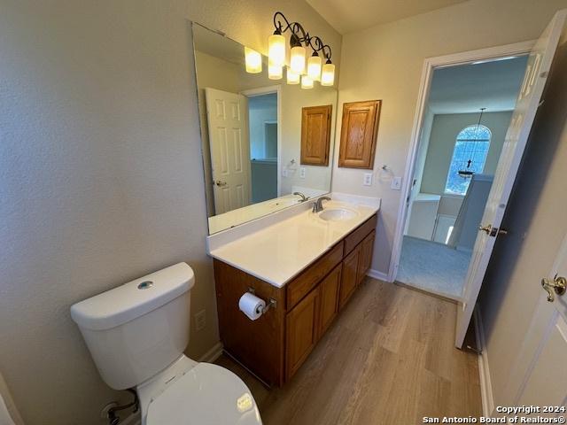 bathroom featuring toilet, vanity, and wood-type flooring