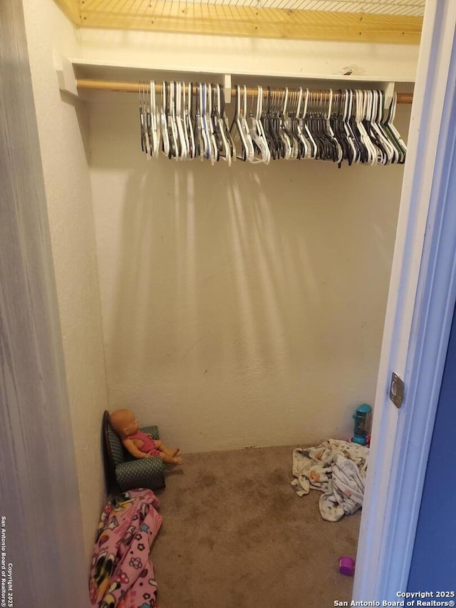 view of closet