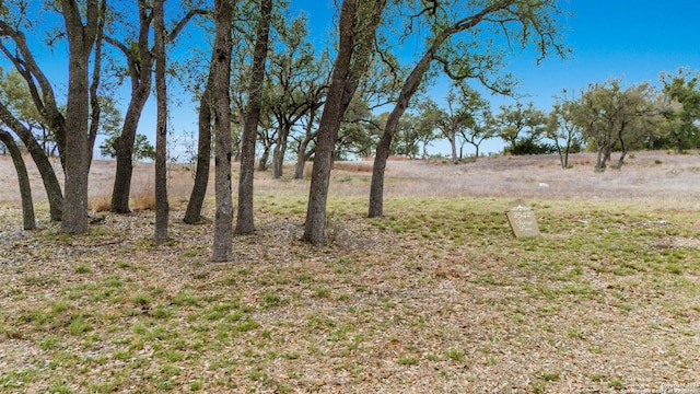 2542 George Pass, Canyon Lake TX, 78133 land for sale