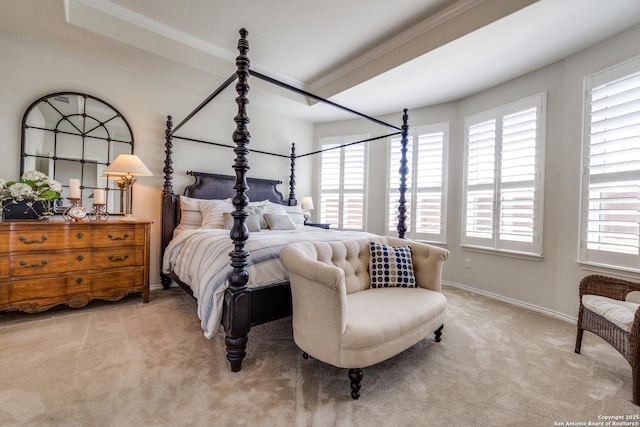 bedroom featuring a tray ceiling, crown molding, baseboards, and carpet flooring