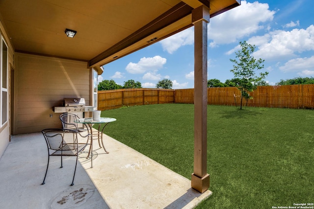 view of yard with a patio area and a fenced backyard