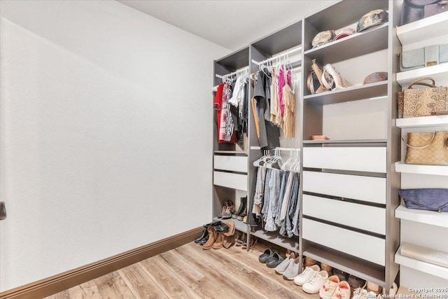 spacious closet with hardwood / wood-style floors