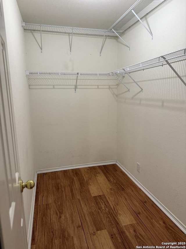 walk in closet featuring wood-type flooring