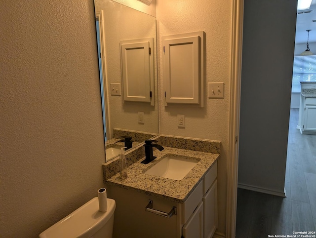 bathroom with toilet, vanity, and wood-type flooring