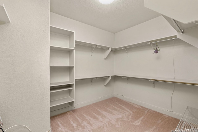 walk in closet with light carpet