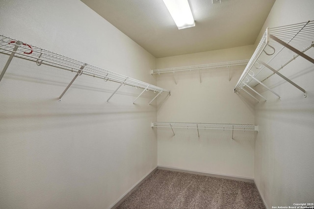 spacious closet with carpet floors