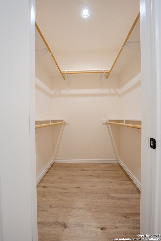 walk in closet featuring wood finished floors