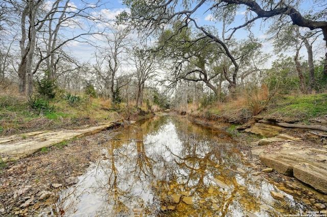 view of water feature