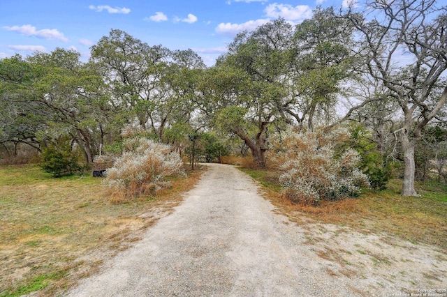 view of road