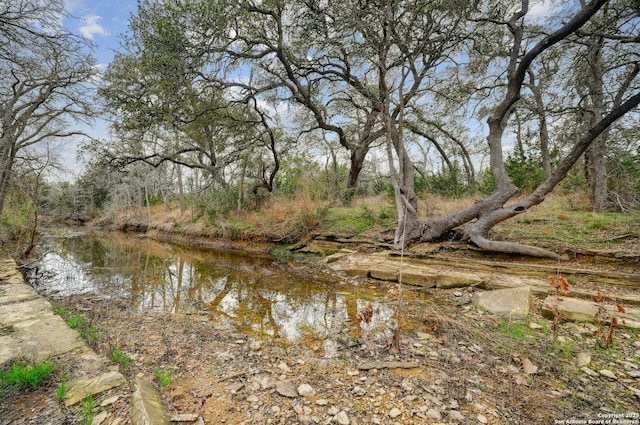 view of water feature