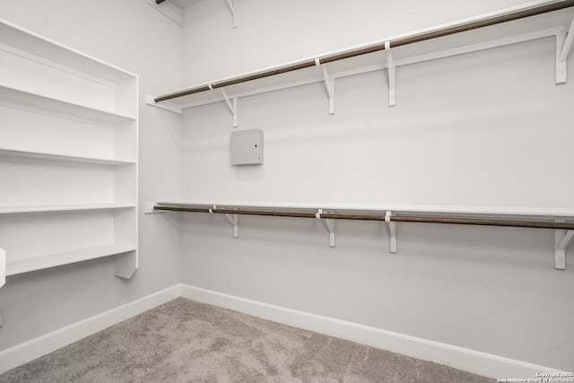 walk in closet featuring carpet flooring