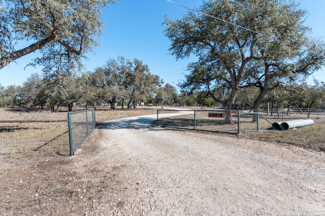 view of street featuring dirt driveway, a gated entry, and a rural view