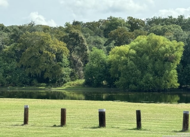 142 Granite Rd, Spring Branch, TX 78070 - view of home's community with a water view, a yard, and a forest view