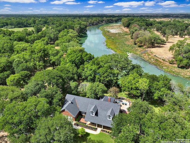 birds eye view of property with a water view and a forest view