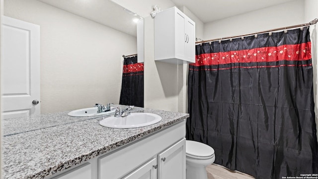 bathroom featuring toilet, wood finished floors, vanity, and a shower with curtain