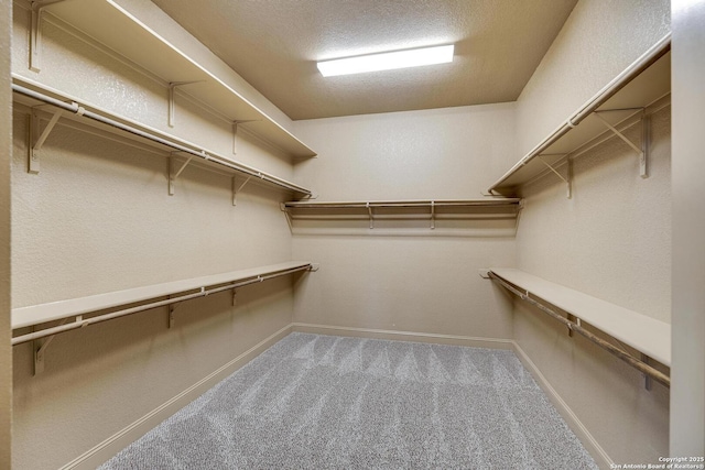 spacious closet with carpet