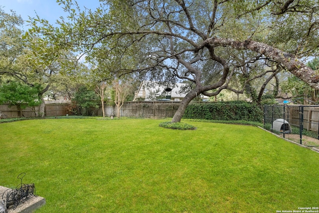 view of yard with a fenced backyard