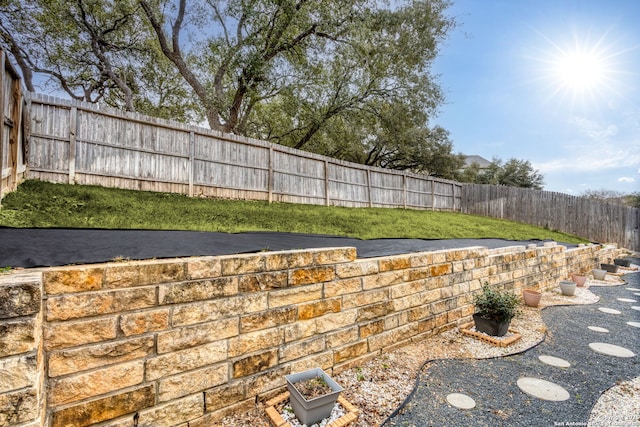 view of yard with a fenced backyard