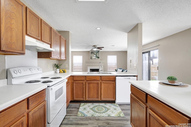 kitchen featuring light countertops, a healthy amount of sunlight, a sink, white appliances, and under cabinet range hood