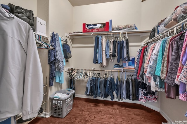 spacious closet featuring dark wood-style flooring